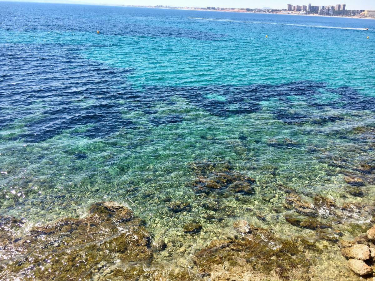 Oasis Beach X - 49 Apartman Guardamar del Segura Kültér fotó
